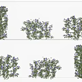 Lush Green Vines With Purple Small Flowers Decorating White Wall Surfaces In Various Arrangements