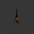 Realistic Long Neck Dinosaur 3D Model With Gray Body And Red Markings