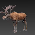Realistic Moose With Large Antlers Brown Fur And Standing Posture