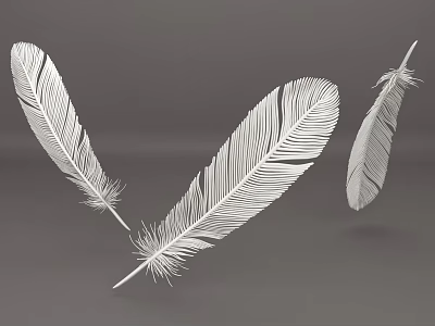 Three Delicate White Feathers Floating With Detailed Texture And Soft Structure 3d model