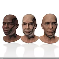 Three Bald Human Head 3D Models Showing Detailed Facial Organs And Features