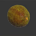 Fresh Ripe Avocado With Green Brown Speckled Skin On Dark Surface