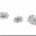 Frosted Chrysanthemum Flowers With White Fluffy Petals And Delicate Structure