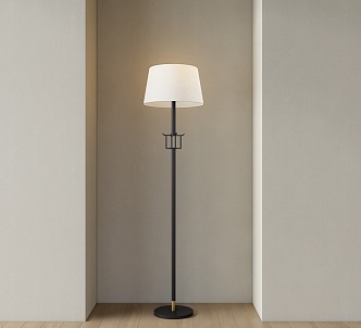 Floor lamp 3d model