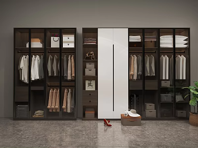 Modern Dark Wood Wardrobe With Glass Doors Hanging Folded Clothes And Storage 3d model