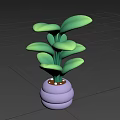Green Leaf Bonsai Potted Plant With Pink Striped Pot On Pink Background