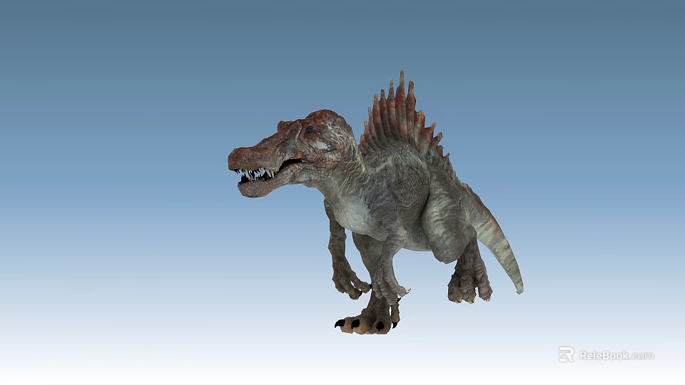 Realistic 3D Spinosaurus Dinosaur Model With Spiked Back And Detailed Features 3d model 