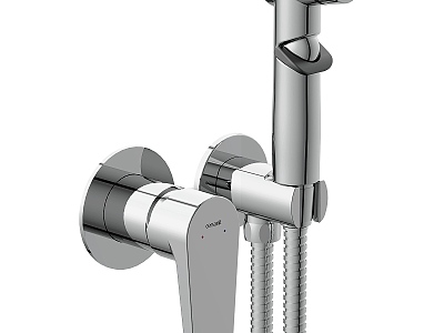 Modern Shower model