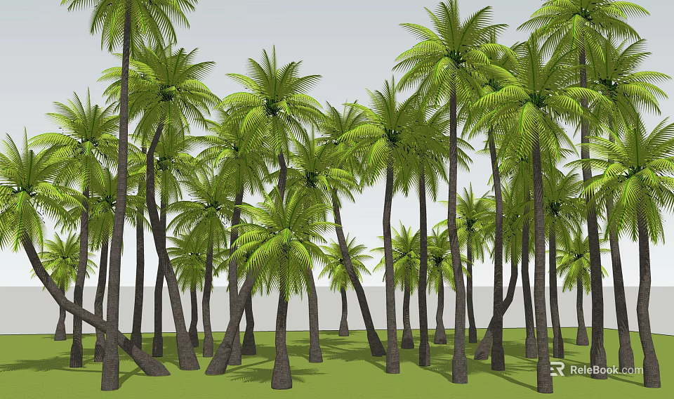 Tall Palm Trees In Lush Green Forest With Green Grass And Clear Sky 3d model 