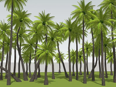 Tall Palm Trees In Lush Green Forest With Green Grass And Clear Sky 3d model