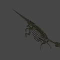Complete Dinosaur Skeleton Fossil Display With Vertebrae And Limb Bones 3d model