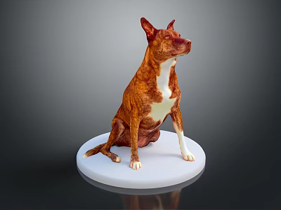 Detailed Brown and White Dog Sitting on White Base Against Gray Background 3d model