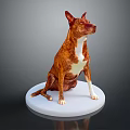 Detailed Brown and White Dog Sitting on White Base Against Gray Background