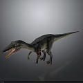 Realistic Velociraptor Dinosaur Model With Open Mouth Detailed Skin And Standing Pose