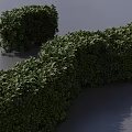 Lush Well Trimmed Green Shrubs For Garden Landscape Design And Decoration