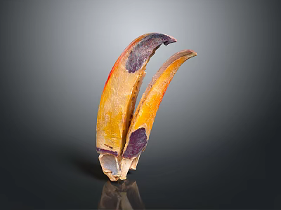 Animal Claws With Yellow And Purple Natural Texture On Dark Background 3d model