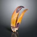 Animal Claws With Yellow And Purple Natural Texture On Dark Background
