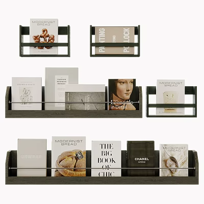 Modern Books and Magazines Collection Display on Stylish Shelves with Various Covers 3d model