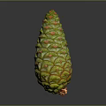 Green Cone Shaped Exotic Fruit With Vibrant Orange Spots And Textured Surface