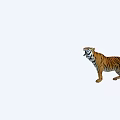 Reptile In Natural Habitat With Green Plants And Sunlight Exposure