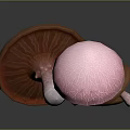 Modern Mushroom Straw Mushroom 3d model