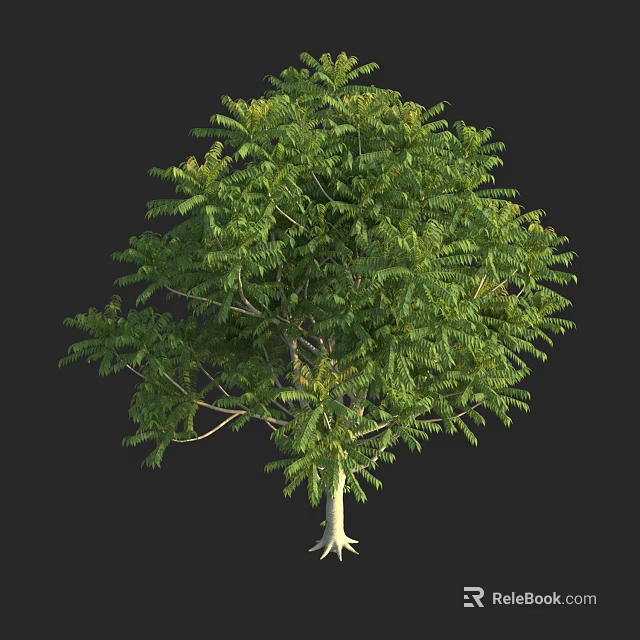 Full Grown Vibrant Arbor With Lush Green Foliage And Dense Branches 3d model 