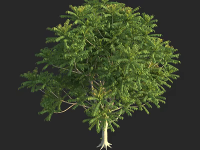 Full Grown Vibrant Arbor With Lush Green Foliage And Dense Branches 3d model