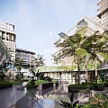 Modern Commercial Landscape With Lush Greenery Palm Trees Open Courtyard And Water Features