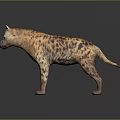 Realistic Spotted Hyena Game Movie Character 3D Model with Detailed Fur and Lifelike Features