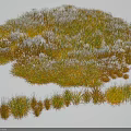 Natural Green And Brown Grass Plants With Frost Covered Blades In Winter Snowy Field