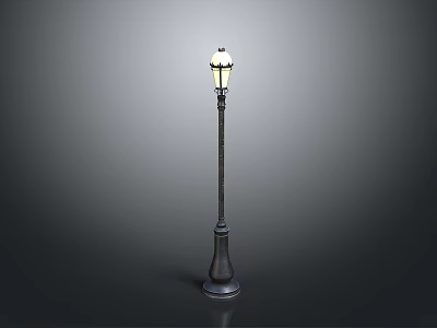 Traditional Street Lamp Design With Classic Metal Pole And Illuminated Light 3d model
