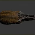 Tyrannosaurus Rex Dinosaur Head Model with Open Mouth Sharp Teeth and Orange Gray Skin
