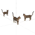 Three Spotted Tabby Cats Standing In Different Poses On White Background