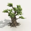 ancient tree banyan tree evergreen banyan tree whisker fine leaf banyan vine tree big tree 3d model