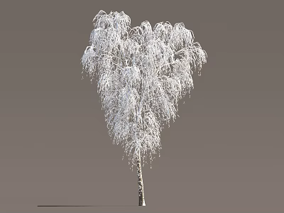 Elegant Snow Covered Arbor Featuring Graceful Drooping White Branches in Winter 3d model