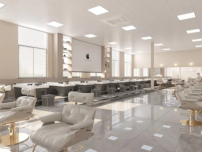 Elegant Modern Beauty Hair Salon Interior With Luxury Chairs And Mirrors 3d model