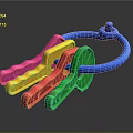 Colorful Plastic Toy Key Ring With Multiple Colored Keys And Blue Ring