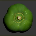 Fresh Green Bell Pepper Nutritious Healthy Vegetable Great For Salads And Cooking
