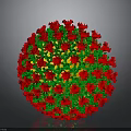 Anatomical Organ Structure With Hair Like Projections In Red And Green Colors