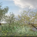 Tall Trees In Lakeside Natural Landscape With Reeds Grass And Cloudy Sky