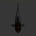 Realistic Aquatic Animal Shark 3D Model Showing Open Mouth And Sharp Teeth