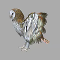 Owl With Spread Wings And White Brown Feathers Standing In Flight Posture 3d model