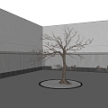 Chinese Courtyard Pool Waterscape Trees Dead Trees 3d model