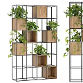 Elegant Bonsai Potted Plants Displayed On Multi Tiered Wooden Metal Shelves With Green Leaves