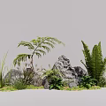 Natural Plant Combination with Ferns Grasses Rocks and Lush Green Foliage
