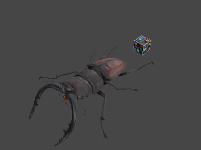 Large Brown Beetle With Antlers Next To Colorful Rubik's Cube On Gray Background 3d model