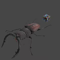 Large Brown Beetle With Antlers Next To Colorful Rubik's Cube On Gray Background