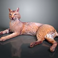 Lynx with Brown Spotted Fur Lying on Reflective Surface with Tufted Ears 3d model