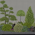 Lush Shrubs In Decorative Garden Landscape With Rocks Gravel And Various Green Plants