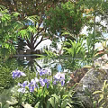 Lush Green Shrubs With Purple Flowers And Leafy Foliage In Natural Garden Setting